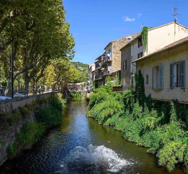 Le Pearl Appartement De Charme En Bord Riviere Collobrieres Exterior photo